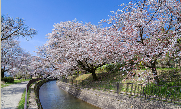 疏水公園