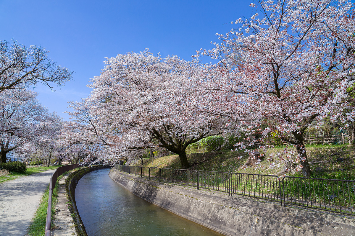 疏水公園